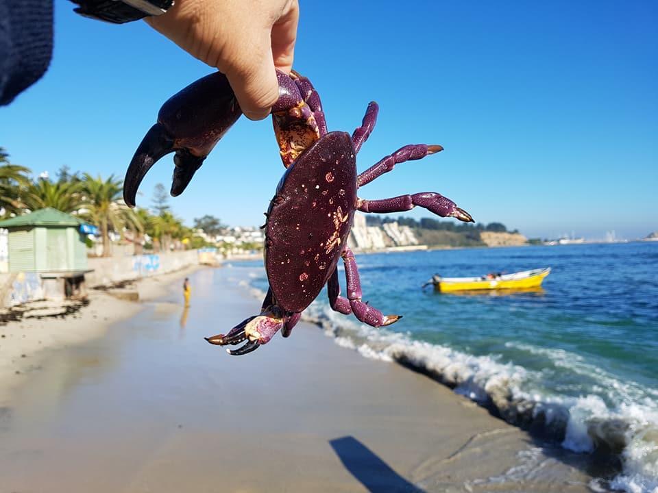 Cabanas Aire Marino アルガロボ エクステリア 写真